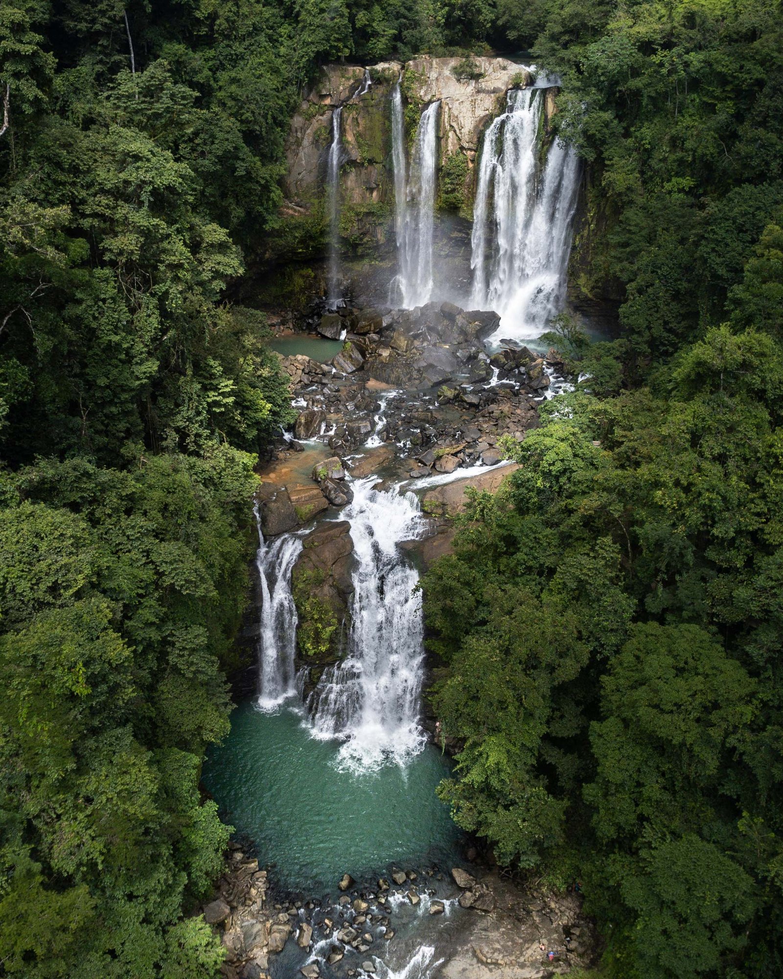 Nauyaca